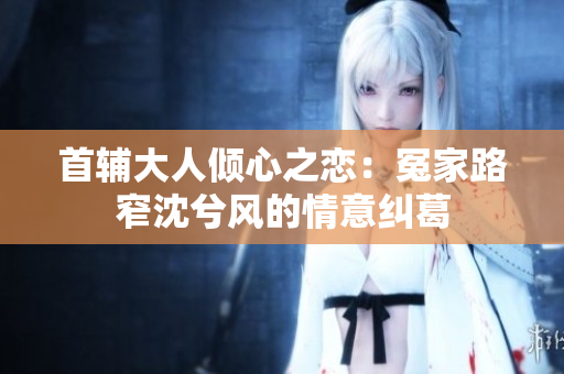 首辅大人倾心之恋：冤家路窄沈兮风的情意纠葛