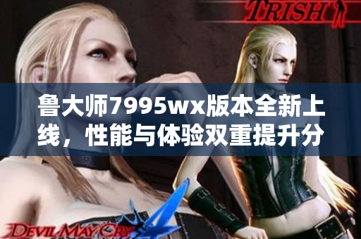 鲁大师7995wx版本全新上线，性能与体验双重提升分析