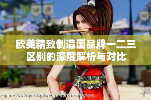 欧美精致制造国品牌一二三区别的深度解析与对比