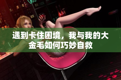 遇到卡住困境，我与我的大金毛如何巧妙自救