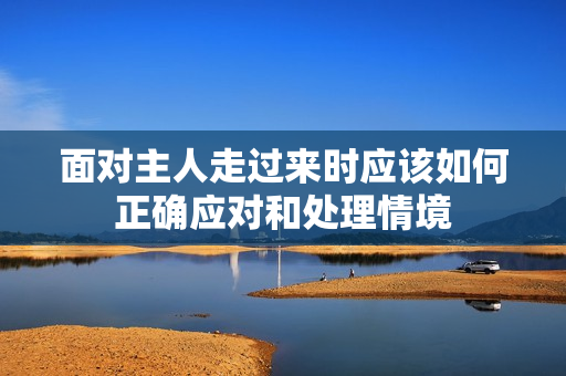 面对主人走过来时应该如何正确应对和处理情境