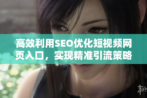 高效利用SEO优化短视频网页入口，实现精准引流策略