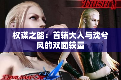 权谋之路：首辅大人与沈兮风的双面较量