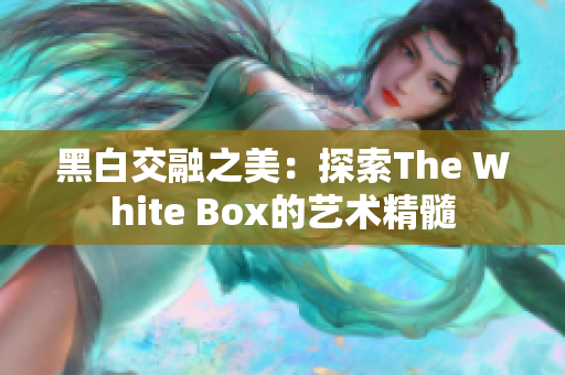 黑白交融之美：探索The White Box的艺术精髓