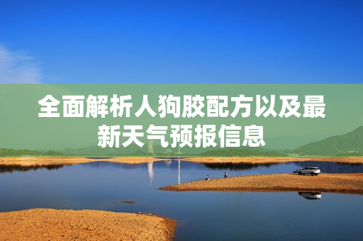 全面解析人狗胶配方以及最新天气预报信息