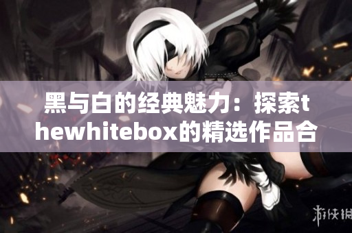 黑与白的经典魅力：探索thewhitebox的精选作品合集