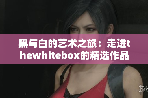 黑与白的艺术之旅：走进thewhitebox的精选作品