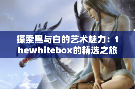 探索黑与白的艺术魅力：thewhitebox的精选之旅