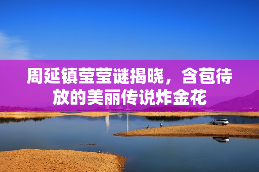 周延镇莹莹谜揭晓，含苞待放的美丽传说炸金花