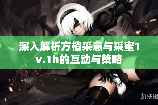 深入解析方橙采意与采蜜1v.1h的互动与策略