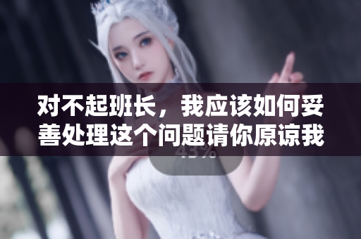 对不起班长，我应该如何妥善处理这个问题请你原谅我