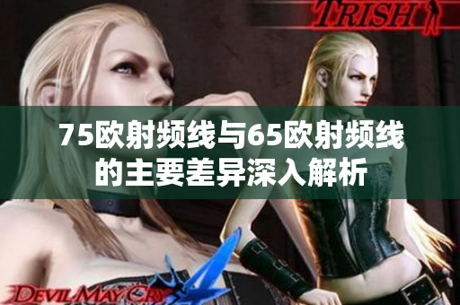 75欧射频线与65欧射频线的主要差异深入解析