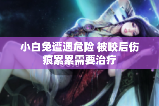 小白兔遭遇危险 被咬后伤痕累累需要治疗