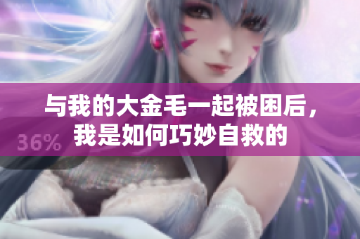 与我的大金毛一起被困后，我是如何巧妙自救的