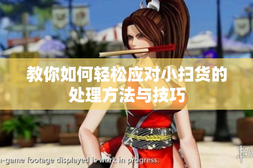 教你如何轻松应对小扫货的处理方法与技巧