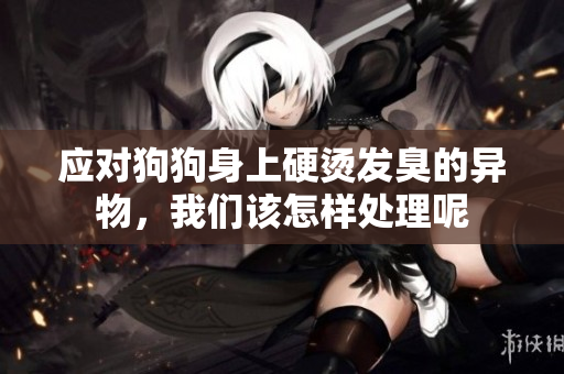 应对狗狗身上硬烫发臭的异物，我们该怎样处理呢