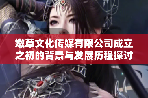 嫩草文化传媒有限公司成立之初的背景与发展历程探讨