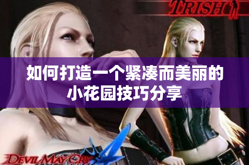 如何打造一个紧凑而美丽的小花园技巧分享