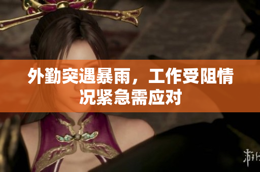 外勤突遇暴雨，工作受阻情况紧急需应对