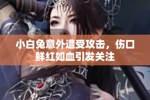 小白兔意外遭受攻击，伤口鲜红如血引发关注