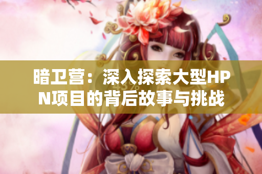 暗卫营：深入探索大型HPN项目的背后故事与挑战