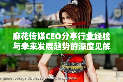 麻花传媒CEO分享行业经验与未来发展趋势的深度见解