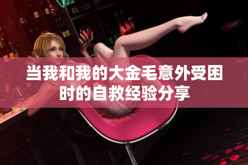 当我和我的大金毛意外受困时的自救经验分享