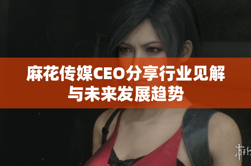 麻花传媒CEO分享行业见解与未来发展趋势
