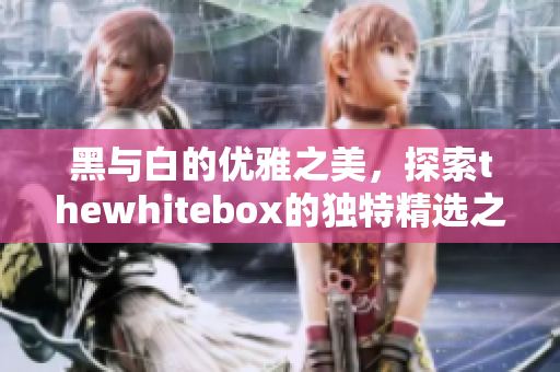 黑与白的优雅之美，探索thewhitebox的独特精选之旅