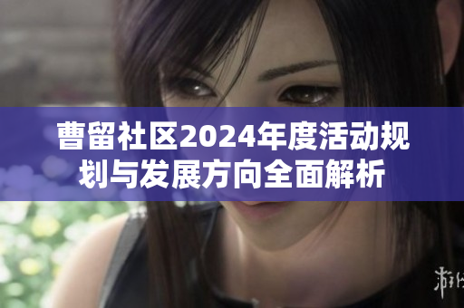 曹留社区2024年度活动规划与发展方向全面解析