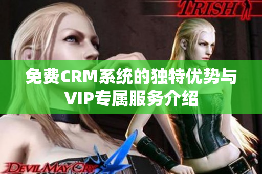免费CRM系统的独特优势与VIP专属服务介绍