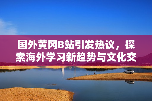 国外黄冈B站引发热议，探索海外学习新趋势与文化交流