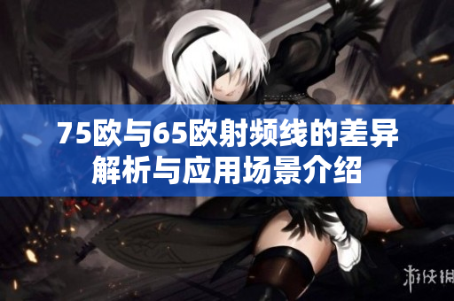 75欧与65欧射频线的差异解析与应用场景介绍