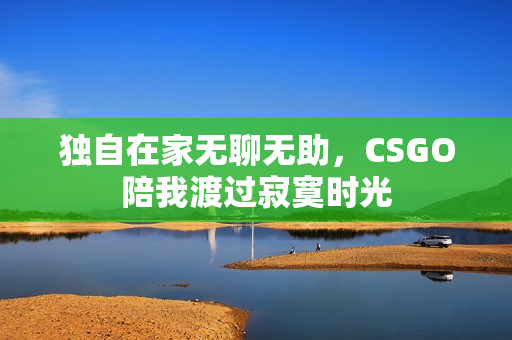 独自在家无聊无助，CSGO陪我渡过寂寞时光