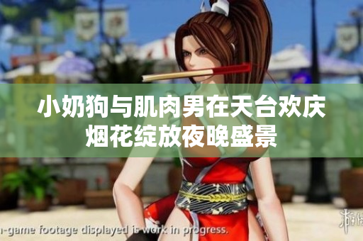 小奶狗与肌肉男在天台欢庆烟花绽放夜晚盛景