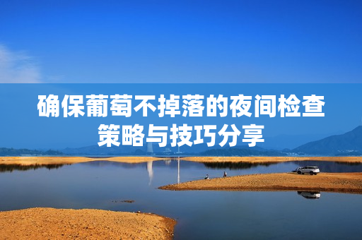 确保葡萄不掉落的夜间检查策略与技巧分享