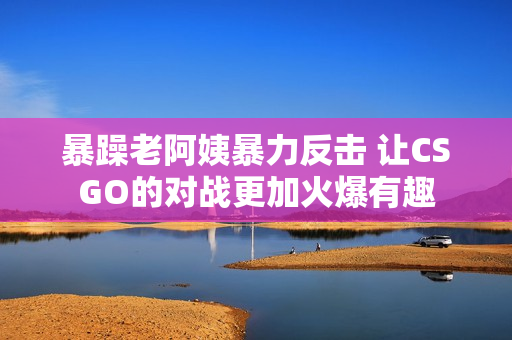 暴躁老阿姨暴力反击 让CSGO的对战更加火爆有趣