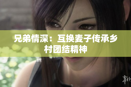 兄弟情深：互换麦子传承乡村团结精神