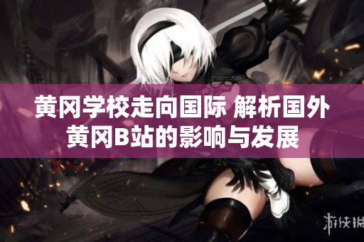 黄冈学校走向国际 解析国外黄冈B站的影响与发展