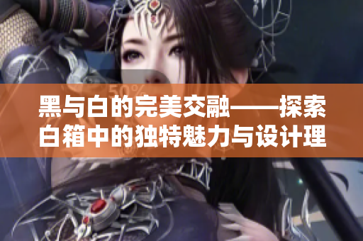 黑与白的完美交融——探索白箱中的独特魅力与设计理念