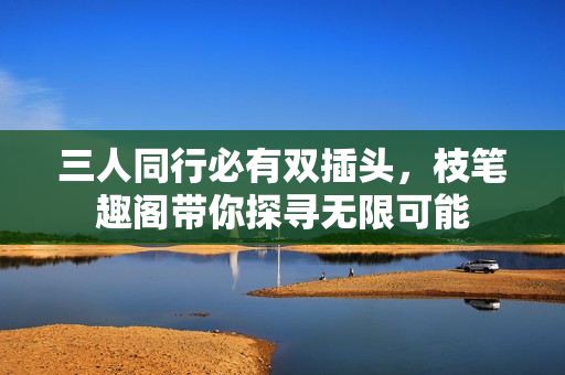 三人同行必有双插头，枝笔趣阁带你探寻无限可能