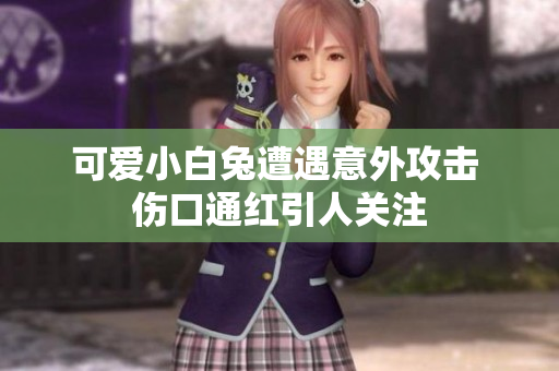 可爱小白兔遭遇意外攻击 伤口通红引人关注