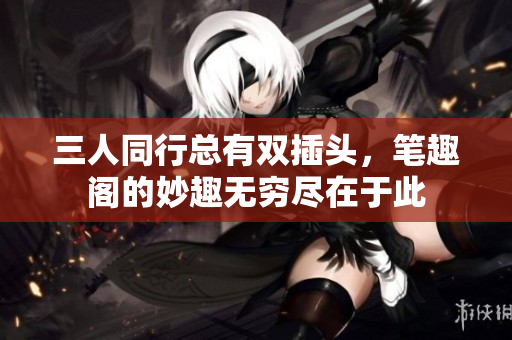 三人同行总有双插头，笔趣阁的妙趣无穷尽在于此
