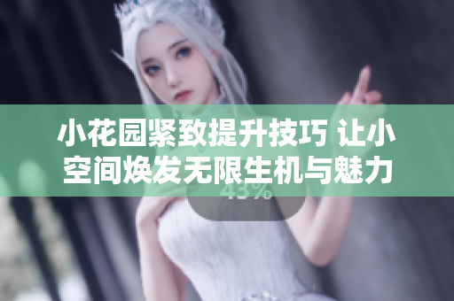 小花园紧致提升技巧 让小空间焕发无限生机与魅力