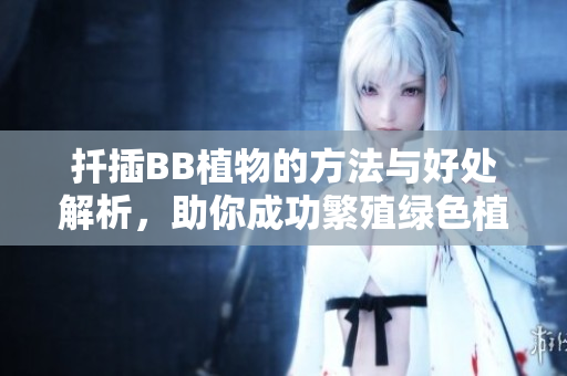 扦插BB植物的方法与好处解析，助你成功繁殖绿色植物