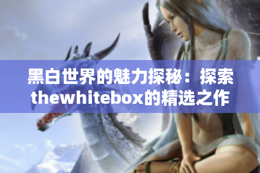黑白世界的魅力探秘：探索thewhitebox的精选之作