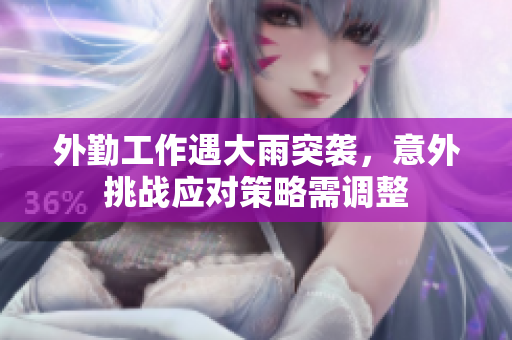 外勤工作遇大雨突袭，意外挑战应对策略需调整