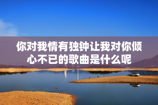 你对我情有独钟让我对你倾心不已的歌曲是什么呢
