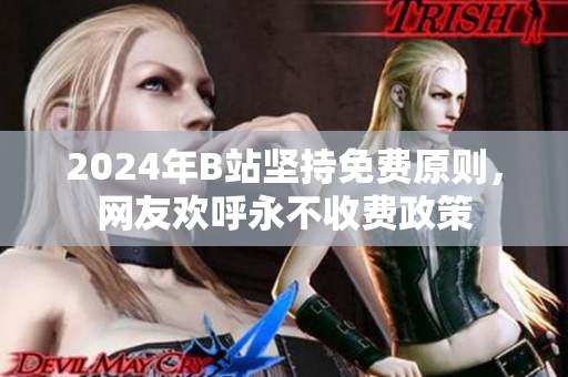 2024年B站坚持免费原则，网友欢呼永不收费政策