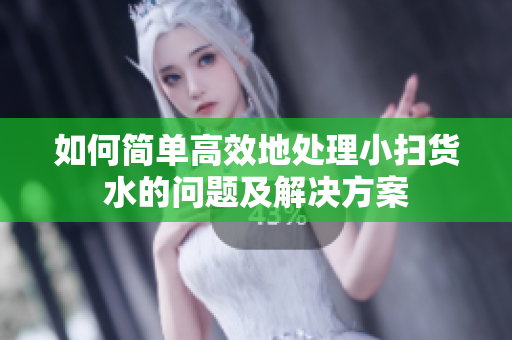 如何简单高效地处理小扫货水的问题及解决方案
